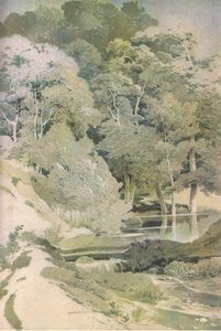Faia Antiga na Floresta de Windsor, Nature in Britain publicado por Collins, 1946 de Paul Sandby